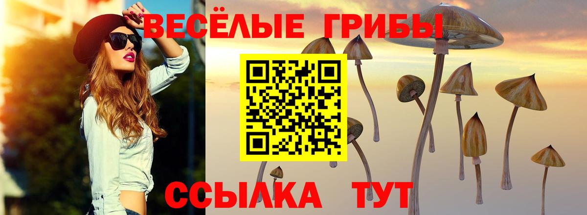 Мелеуз  Псилоцибиновые грибы Psilocybine cubensis  как найти закладки  Вход с VPN 